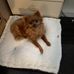 Susan Fielding - Facebook