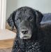 Susan Fielding - Facebook