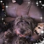 Susan Fielding Gregory - @susan.f.gregory.5 - Instagram