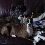 Susan Nazer-Fielding - @bxrpeople - Instagram
