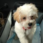 Susan Finan - @susanameliafinan - Instagram