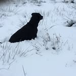 Susan Findlay - @susan.findlay.75 - Instagram
