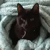 Susan Firth958 - @susanfirth0 - TikTok