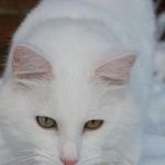 susan firth - @susan.firth - Instagram