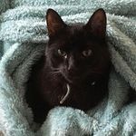 Susan Firth - @susan.firth.71 - Instagram