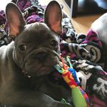 Susan Firth - @racersue - Instagram
