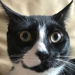 Susan Flagg - @sue_flagg - Instagram