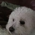 Susan Flavin - @flavin6020 - Instagram