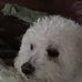 Susan Flavin - Facebook