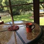 Susan Flavin-Asbury - @flavinasbury - Instagram