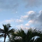 Susan Build Fleck - @suebfleck - Instagram