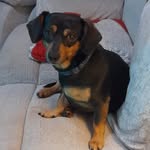 Susan Fleet - @michael.fleet2 - Instagram