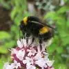 Susan Fleet - @susan.fleet2 - TikTok