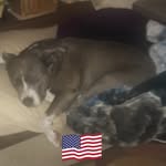 Susan Florio - @goingheavenward - Instagram