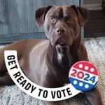 Susan Rebecca Florio - @dotb757 - Instagram