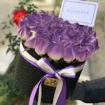 flower_box - @susan_flower_box - Instagram