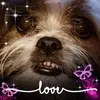 Susan Flowers - @susanflowers21 - TikTok