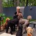 Susan Foote - Facebook
