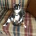 Susan Foote - Facebook