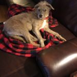 Susan Foote - @susan_foote1 - Instagram