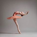 Susan Foote - @susan.foote.395 - Instagram