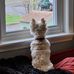 Susan Foote - Facebook
