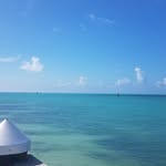 Susan Foote Foust - @susanfootefoust - Instagram