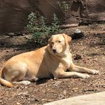 Susan Whisler Frederickson - @frederickson59 - Instagram