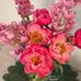 Susie Frederickson - Facebook