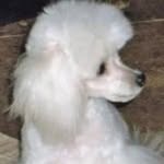 susan fredricks - @susanfredricks4567 - Instagram