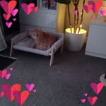 Susan Freely - @susan.freely - Instagram