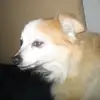 susanfreels - @susanfreels - TikTok