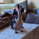 Susan Friedlander - @susankfriedlander - Instagram