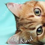 Susan Gable - @susan.gable.52 - Instagram