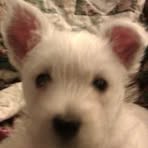 Susan Gallimore - Facebook