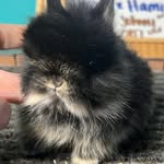 Susan Reyes Gallimore - @susan_gallimore - Instagram