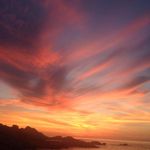 Susan Gallo - @susan.gallo.7927 - Instagram
