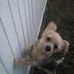Susan Gammon - Facebook