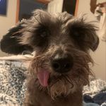 Susan Irene - @susan.gammon.5 - Instagram