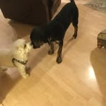 Susan Gass - @susan1gass - Instagram