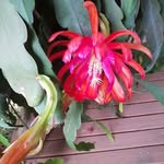 Susan Gass - @susan.gass.520 - Instagram