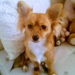Susan Gavin - @susan.gavin.1654 - Instagram