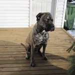 Susan Gavin - @sgavin2009 - Instagram