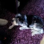 Susan Gavin - @susan.gavin.1948 - Instagram