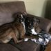 Sue Geer - Facebook