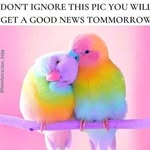 Susan Geer - @geer.susan - Instagram