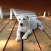 Susan Geller - Facebook