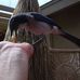 Susan Geller - Facebook