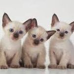 Susan Gellerson - @susangellerson - Instagram