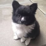 Susan Gendron - @gendronsusan - Instagram